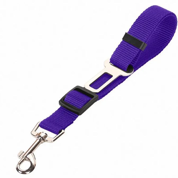 111cdea94b26727ee6e2095e1ee84f38